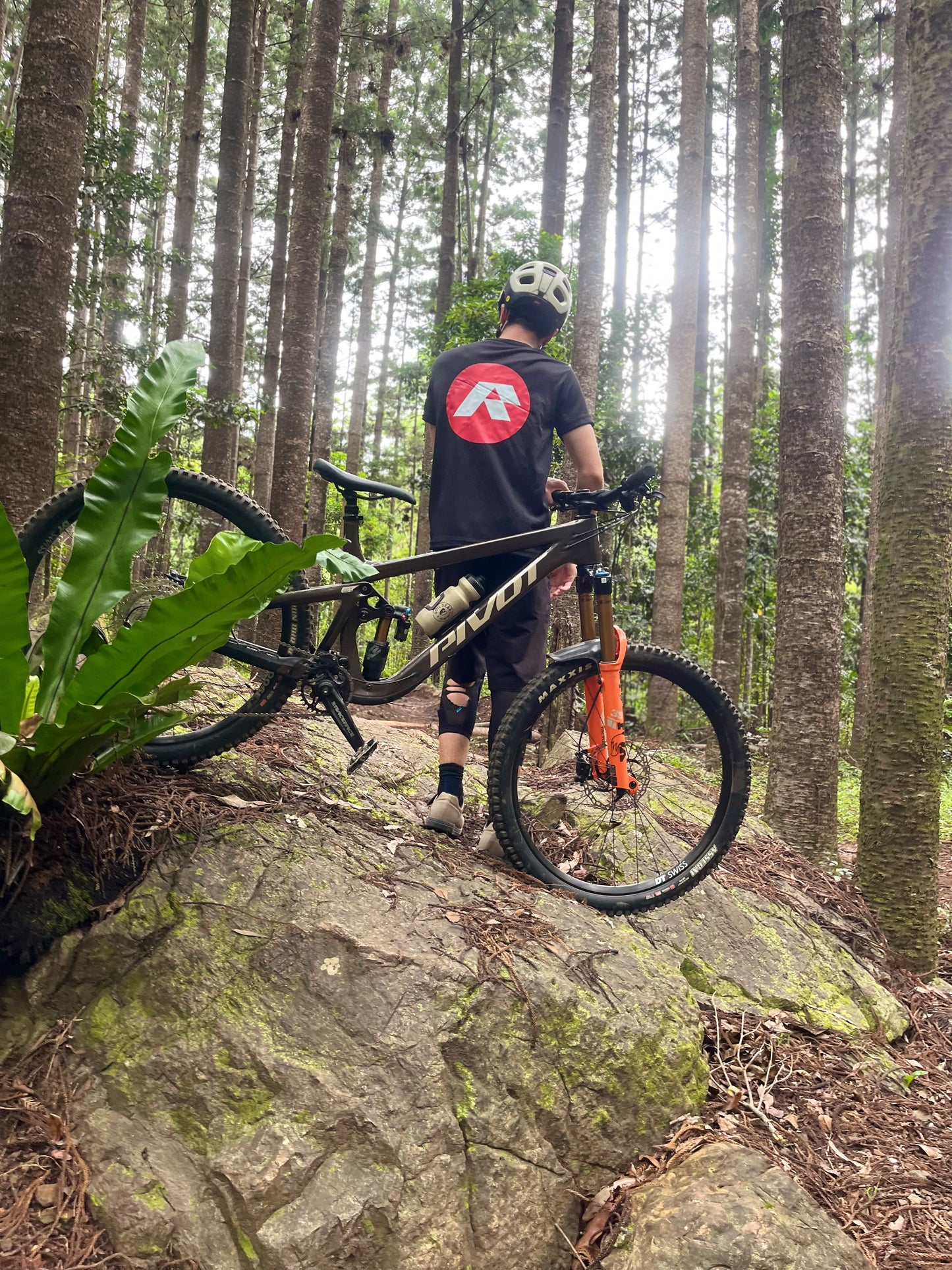 Ryba Jersey
